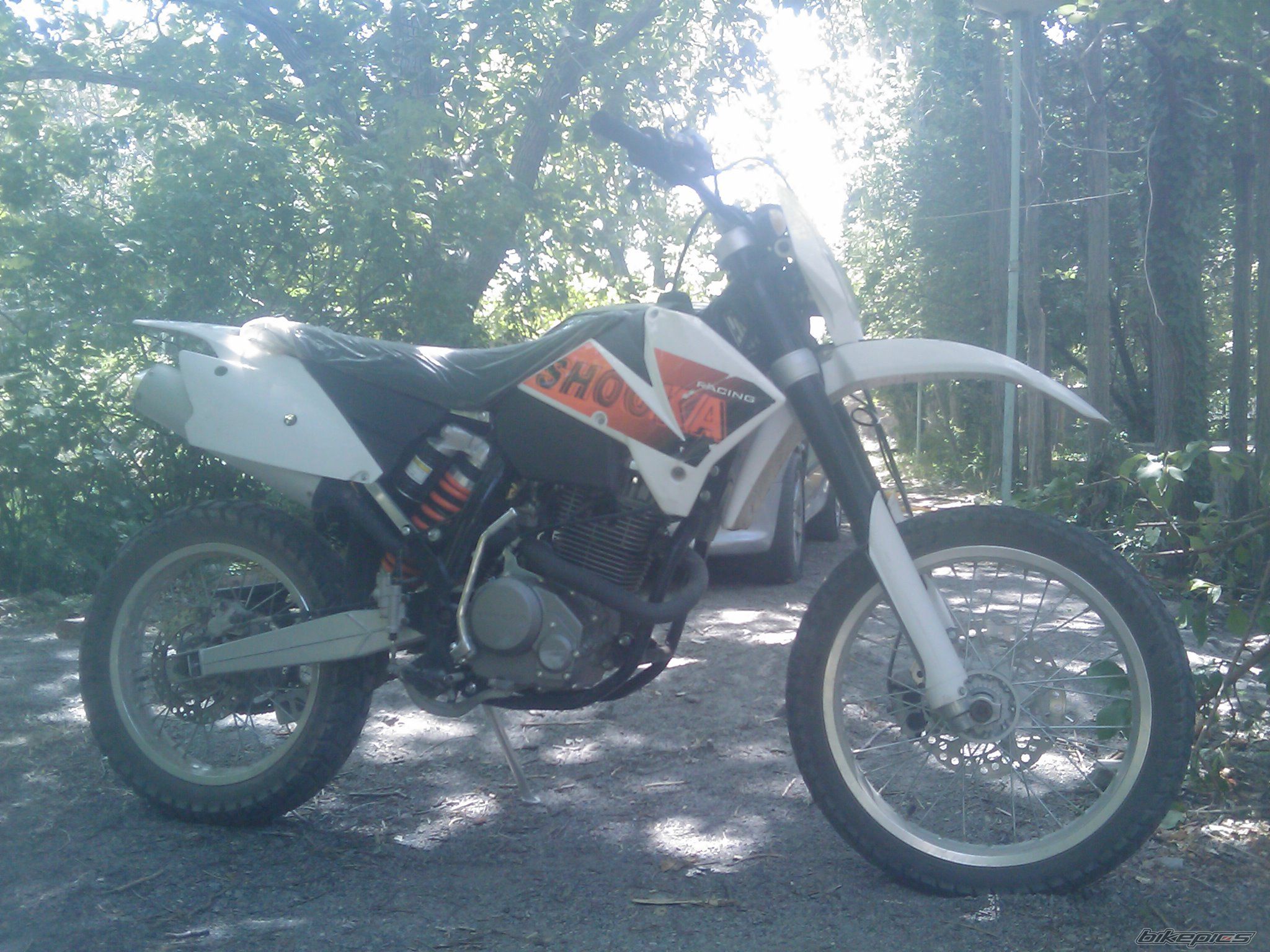 Photo 2306481