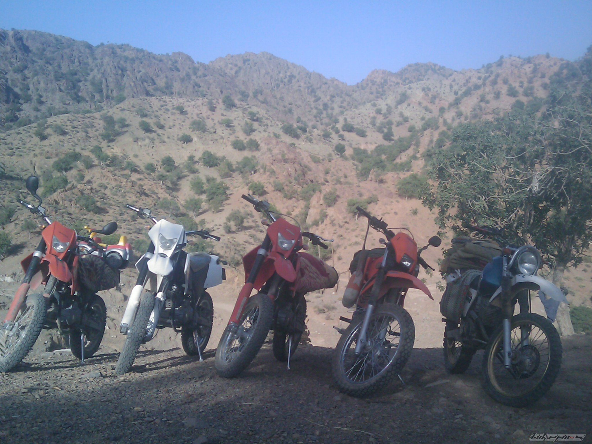 Photo 2306482