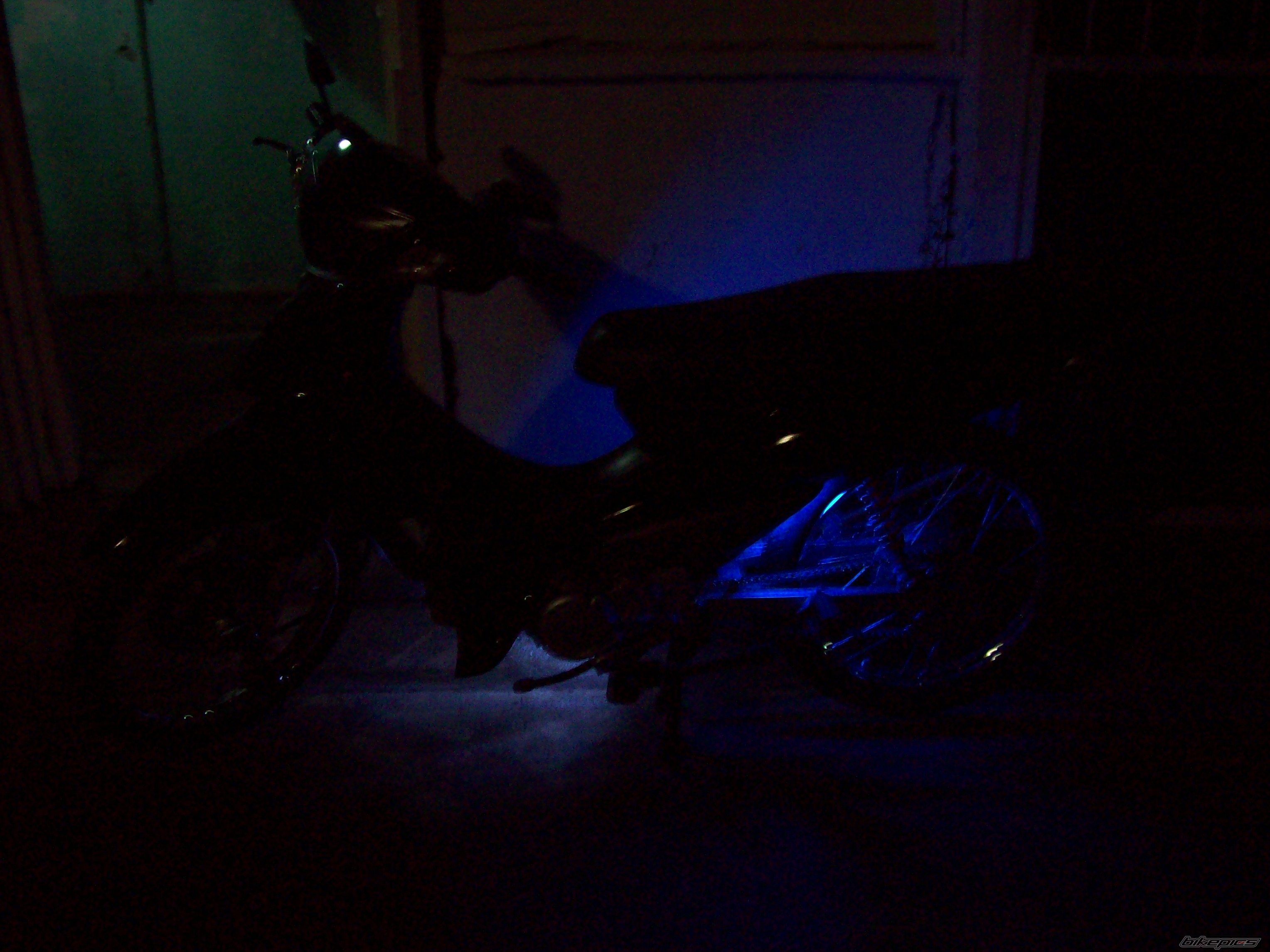 Photo 2306594