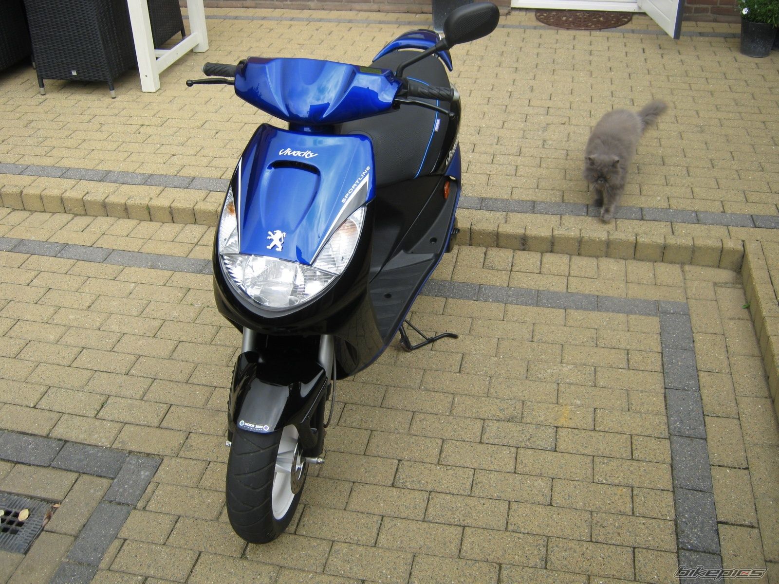 Photo 2306679