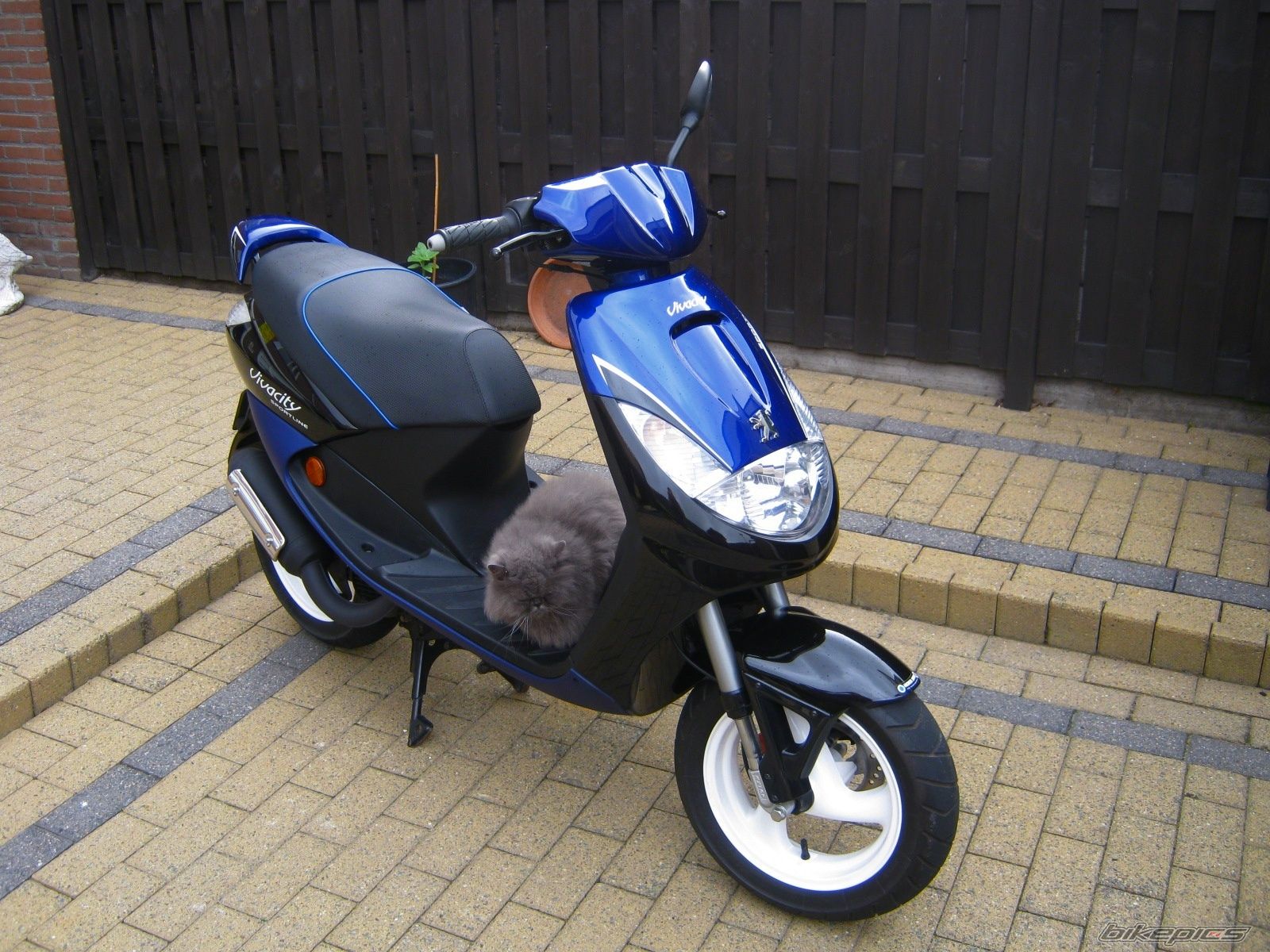 Photo 2306681