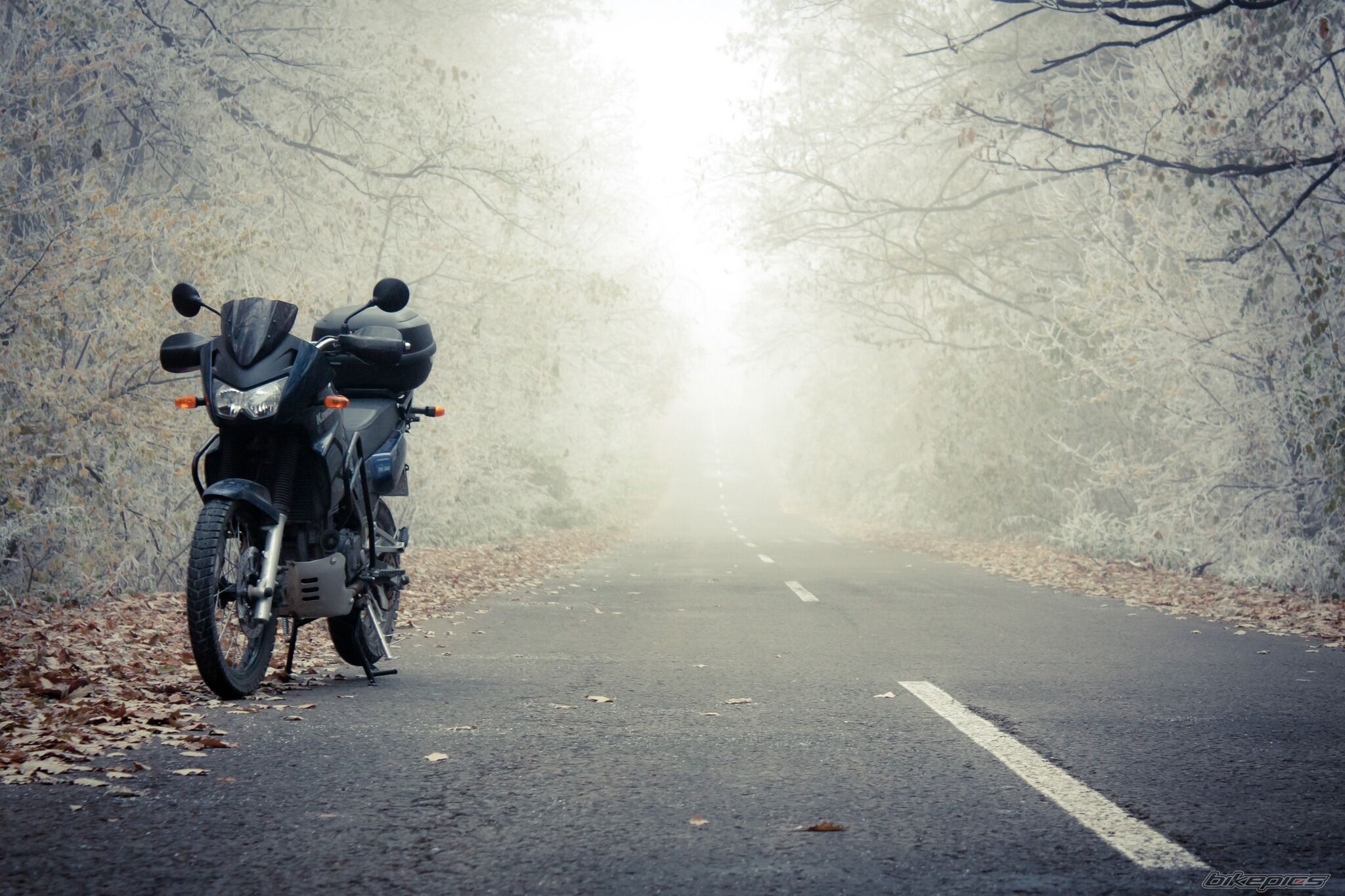 Bike Photo 2306707