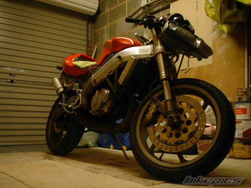 Photo 230694