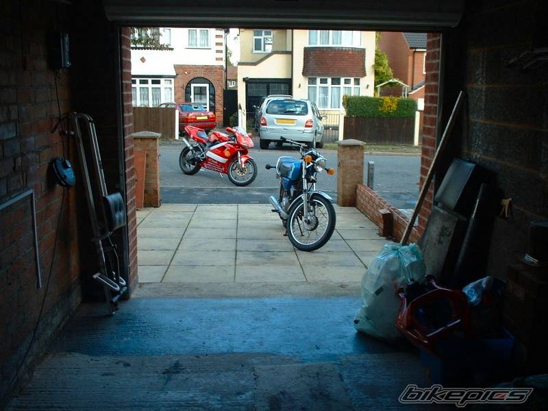 Photo 230699