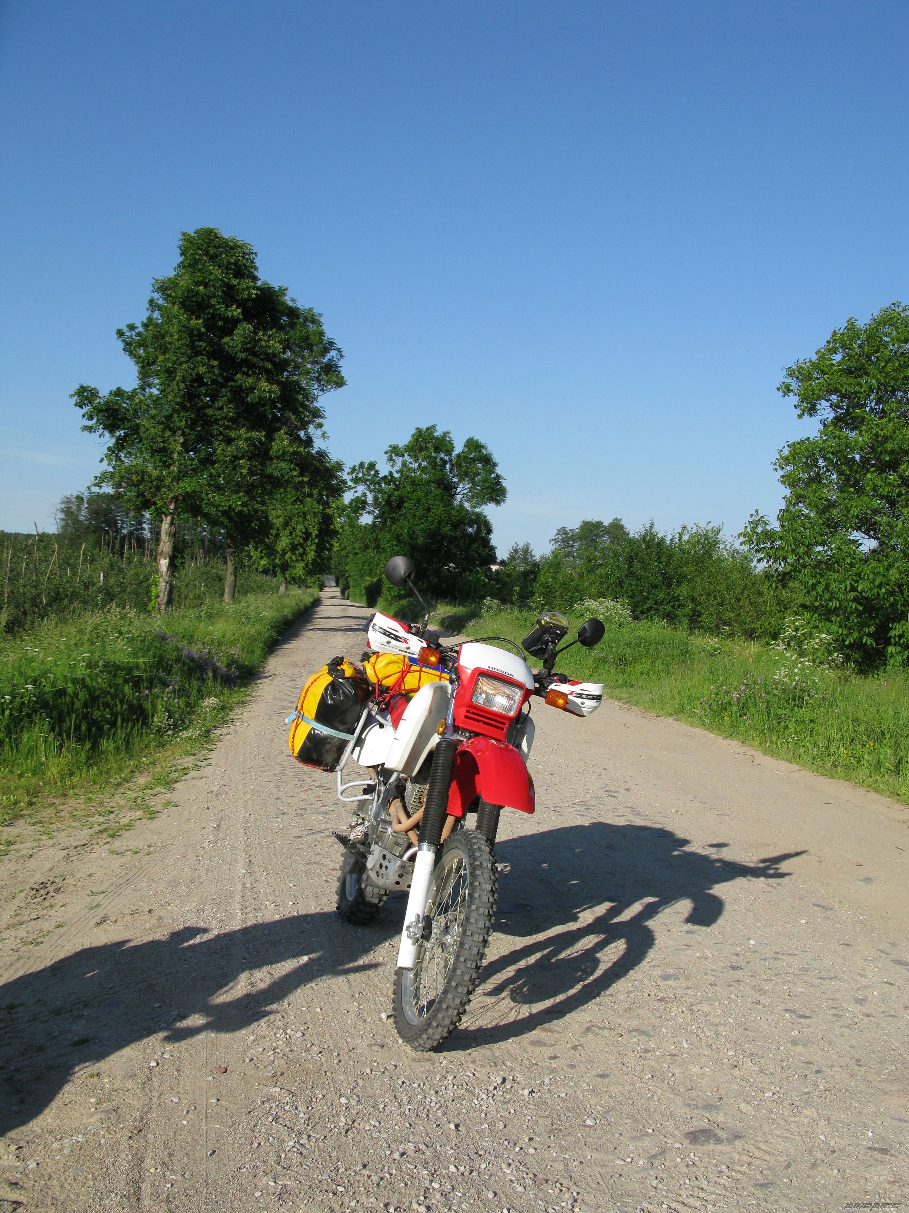 Photo 2306999