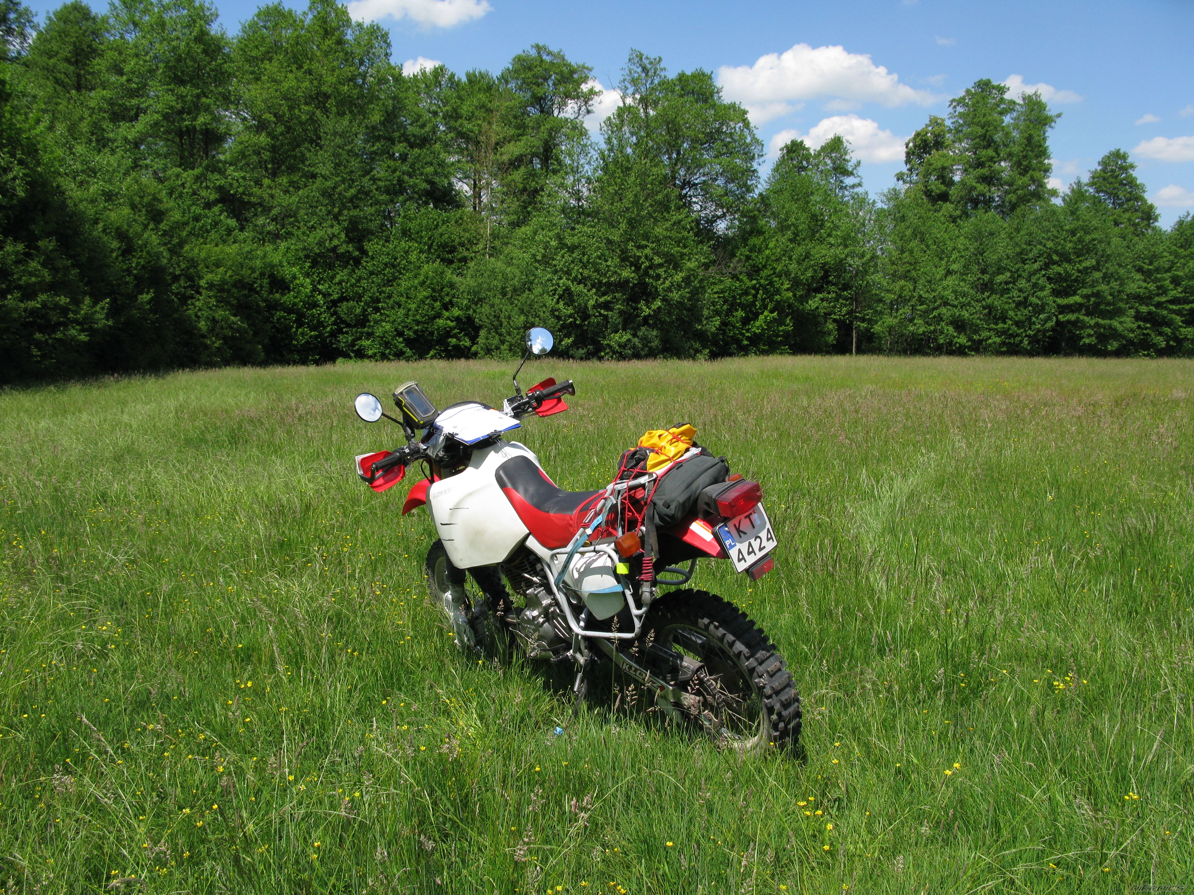 Photo 2307001