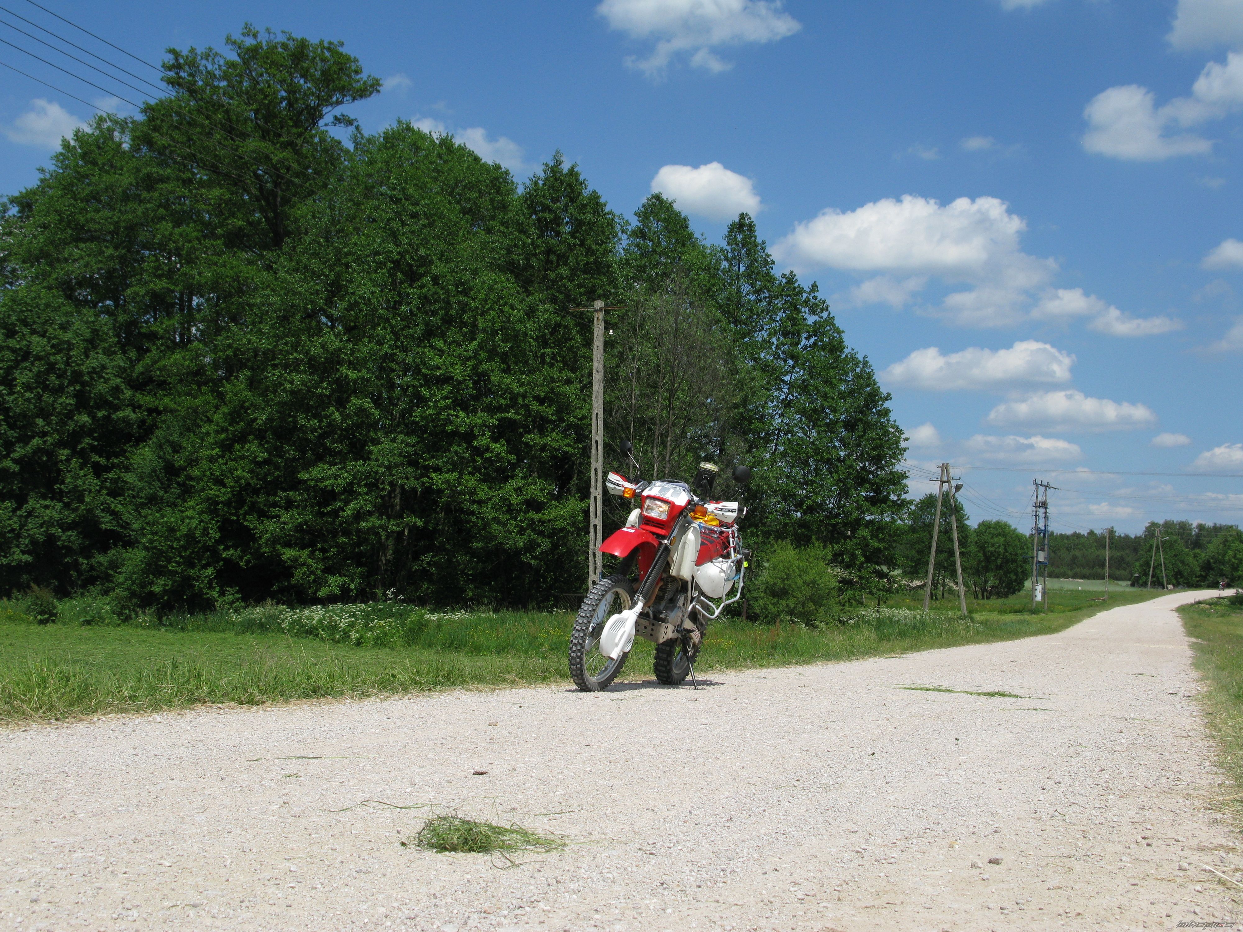 Photo 2307006