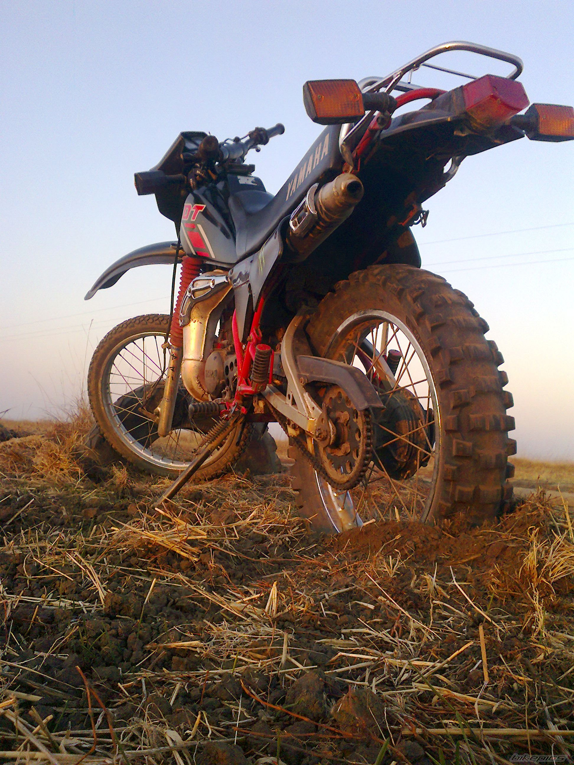 Photo 2307213