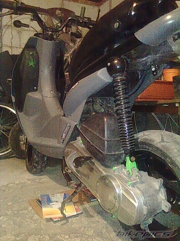 Photo 2307240