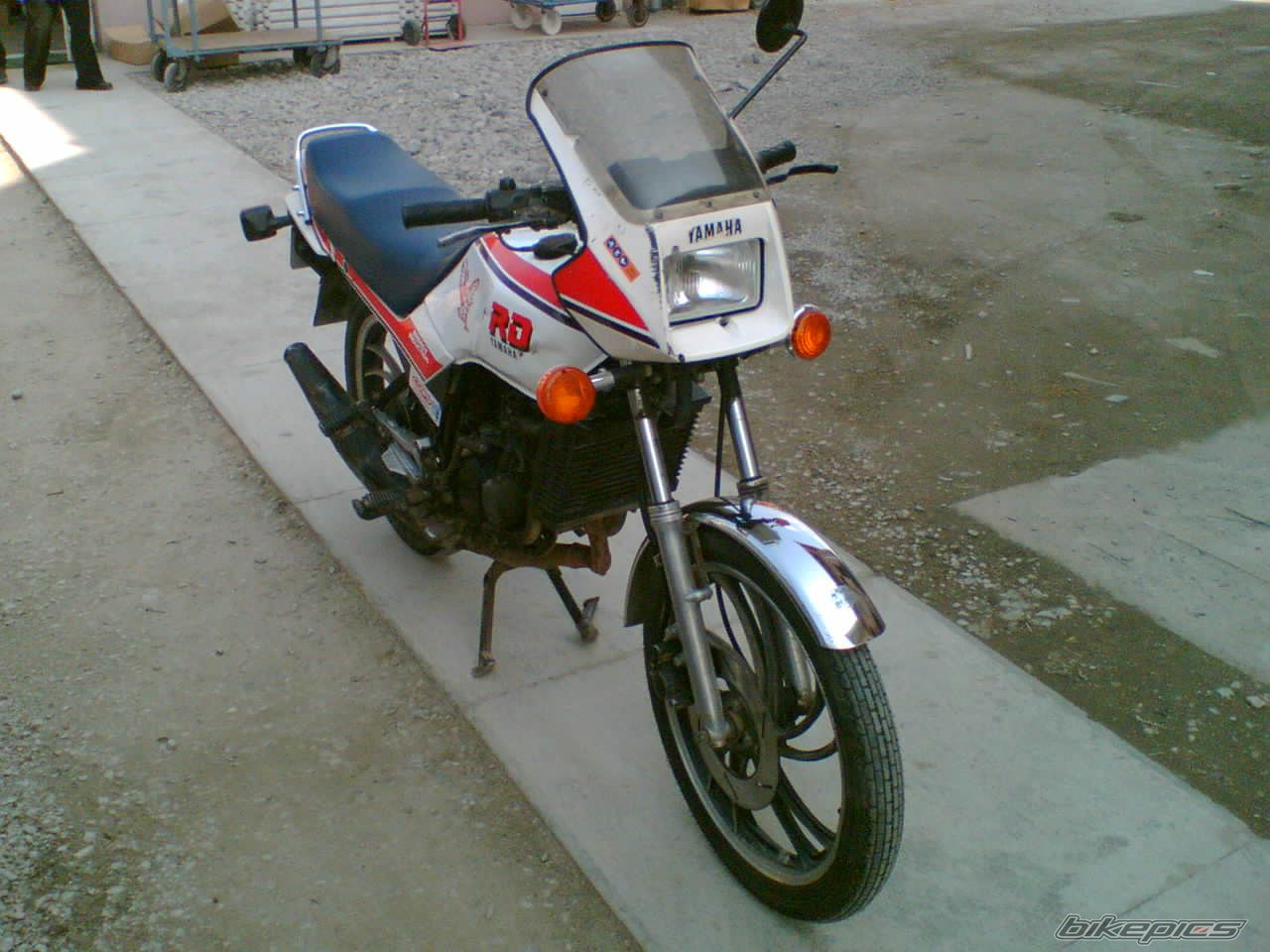Photo 2307247