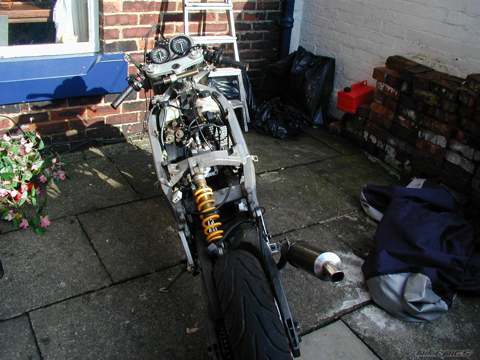 Photo 230728