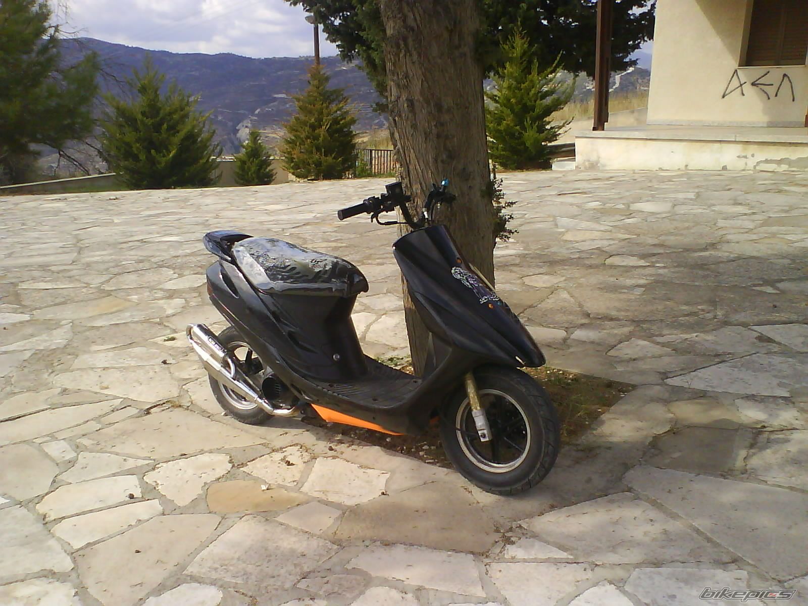 Photo 2307307