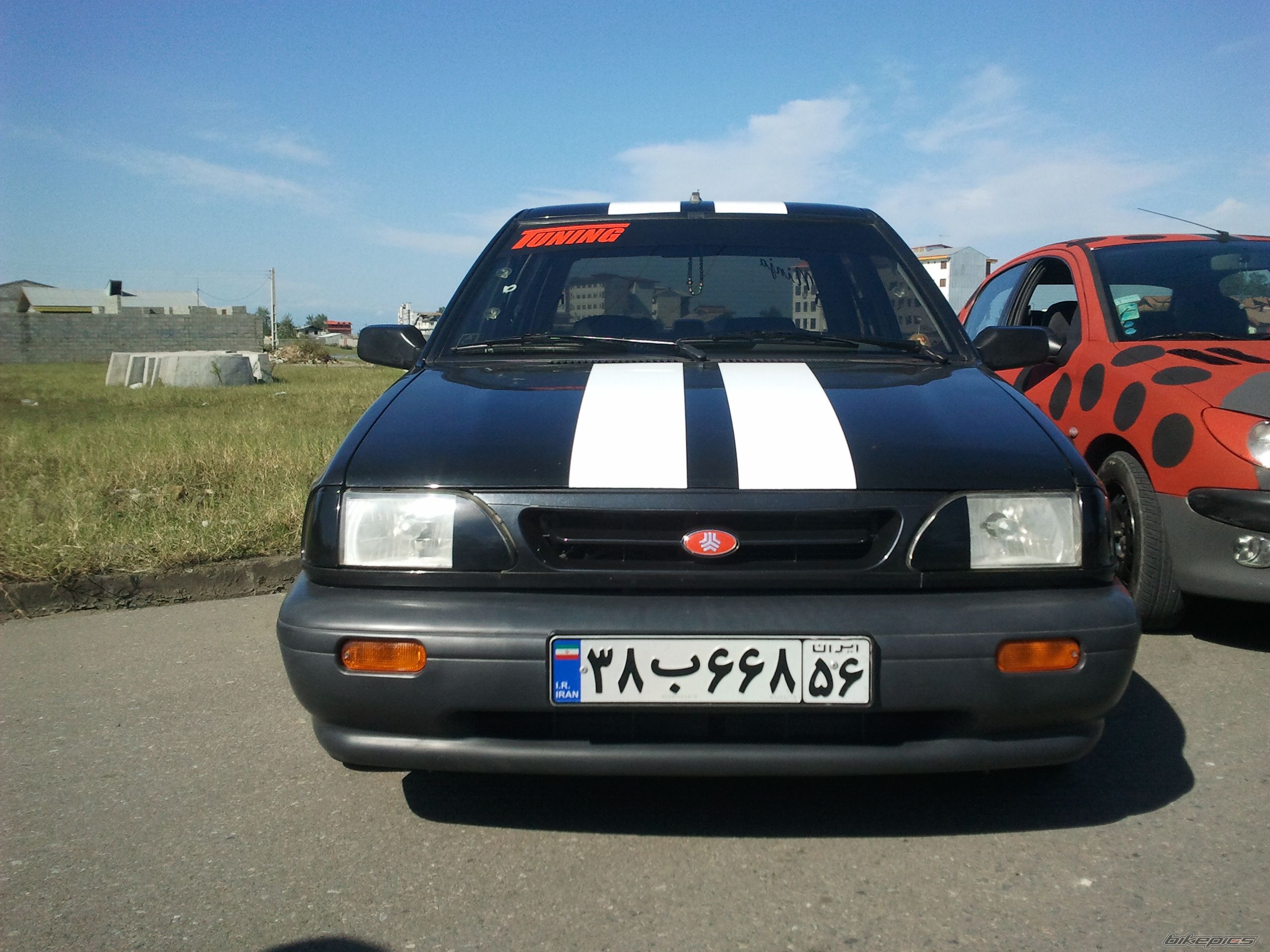 Photo 2307313
