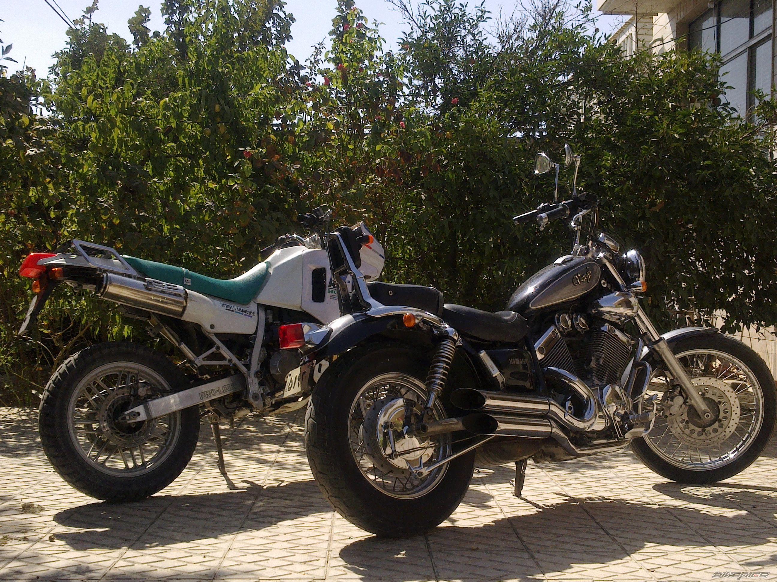 Photo 2307314