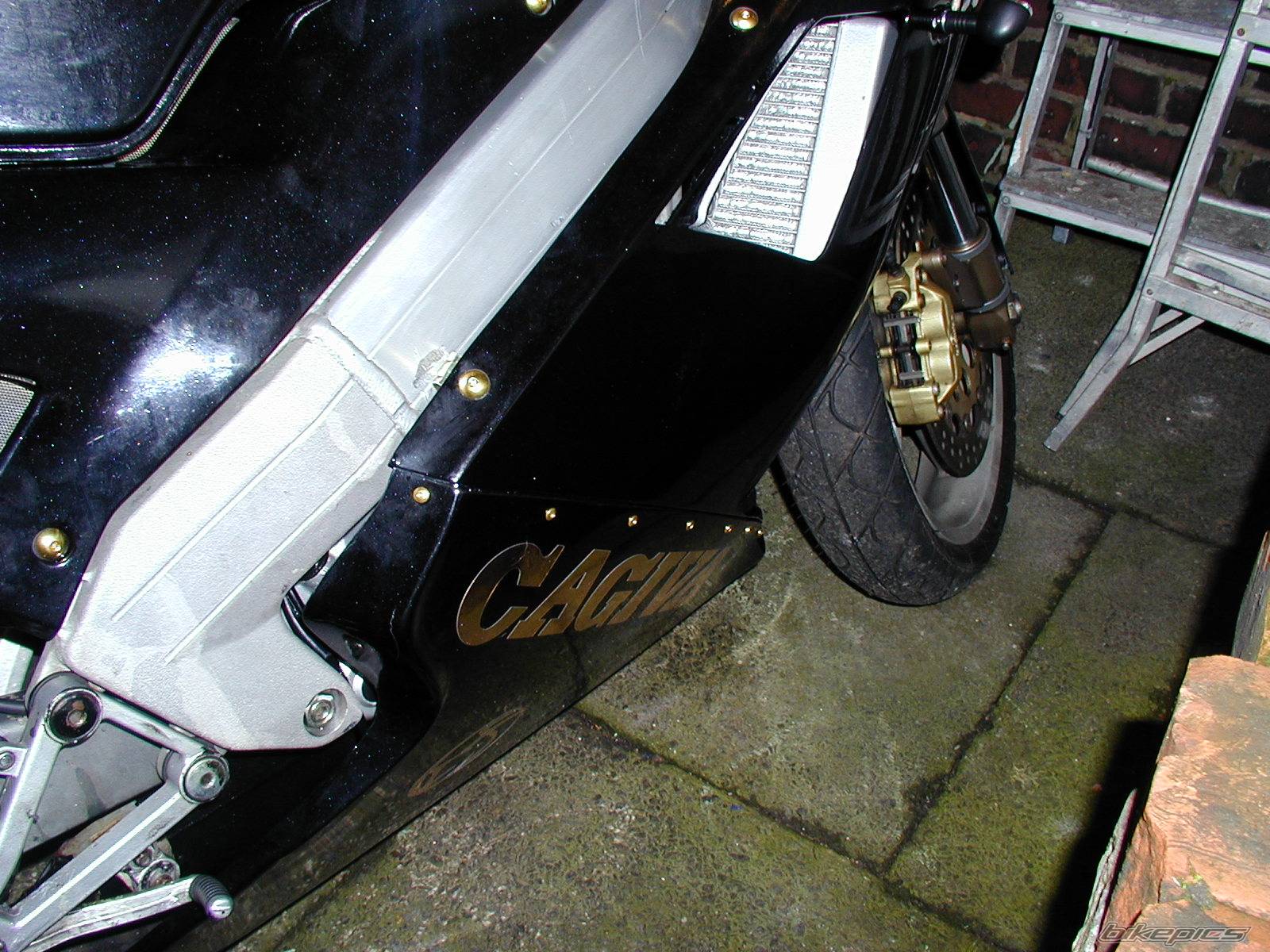 Photo 230732