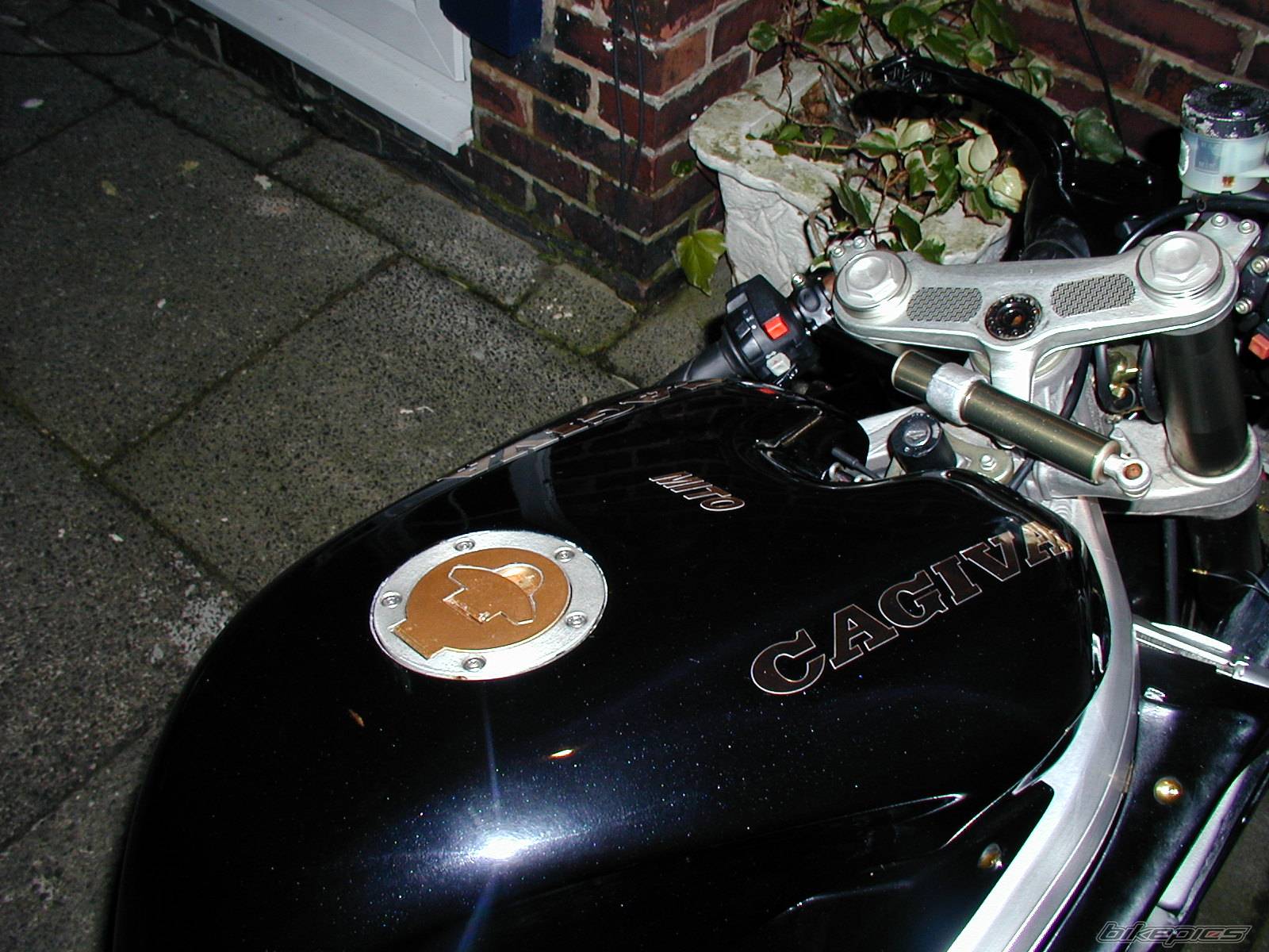 Photo 230733