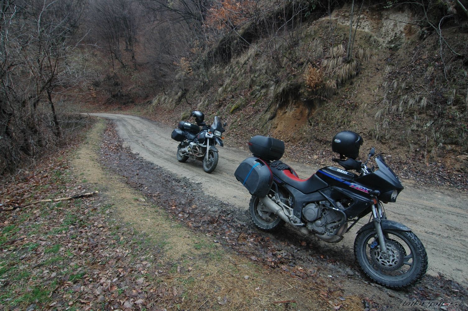 Photo 2307378