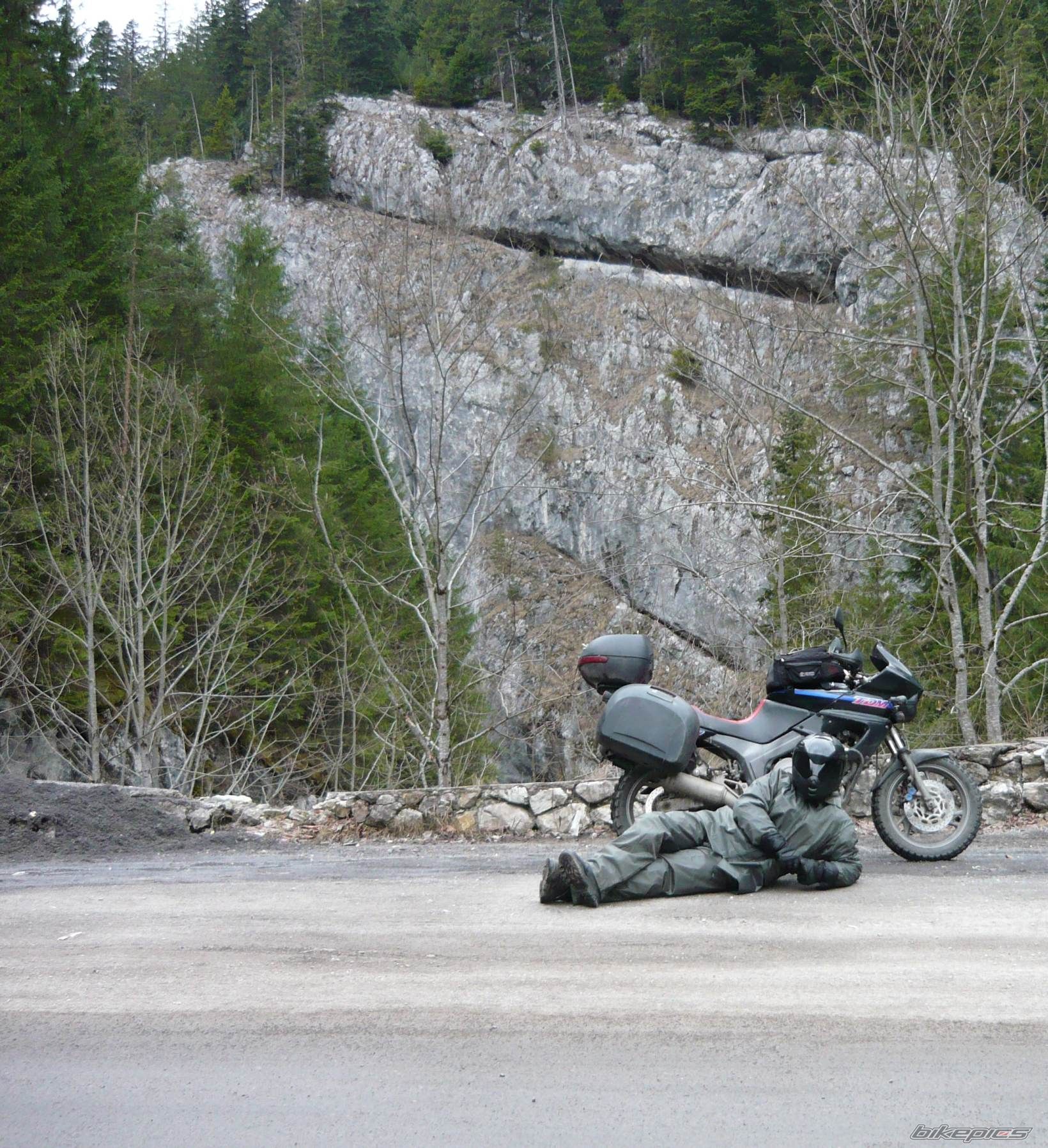 Photo 2307381