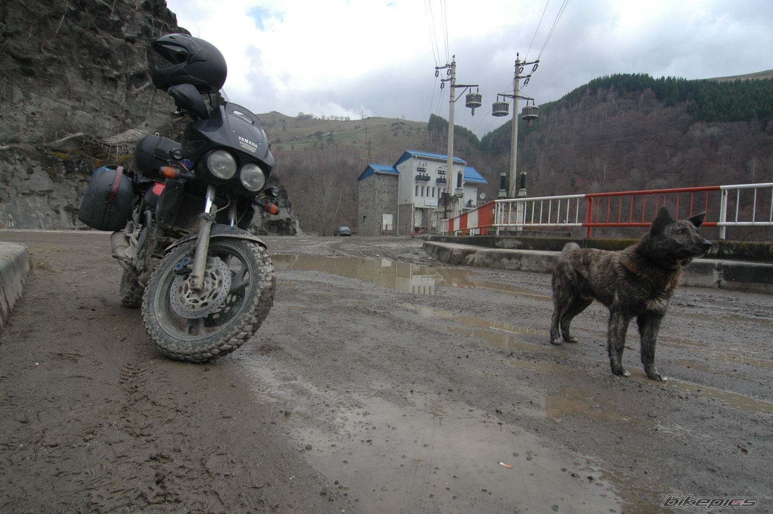 Photo 2307383