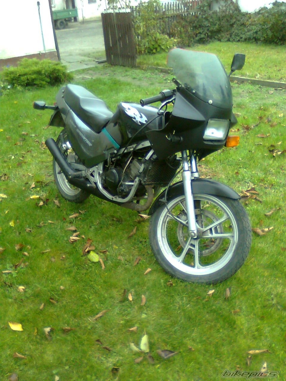 Photo 2307465