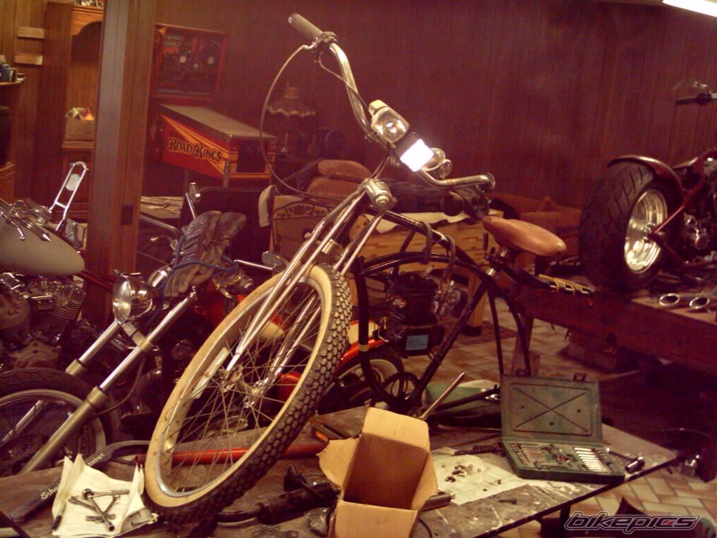 Photo 2307489