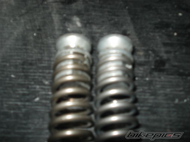 Photo 2307541