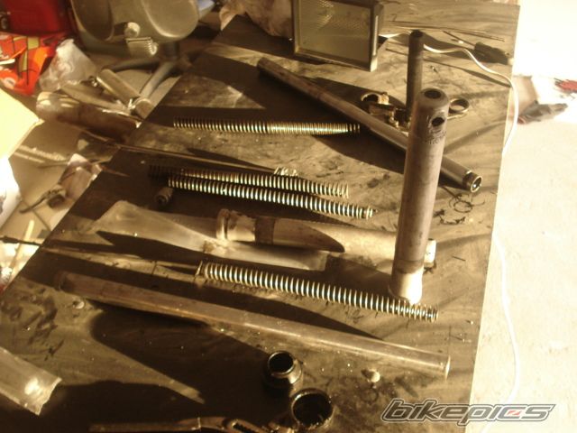 Photo 2307544