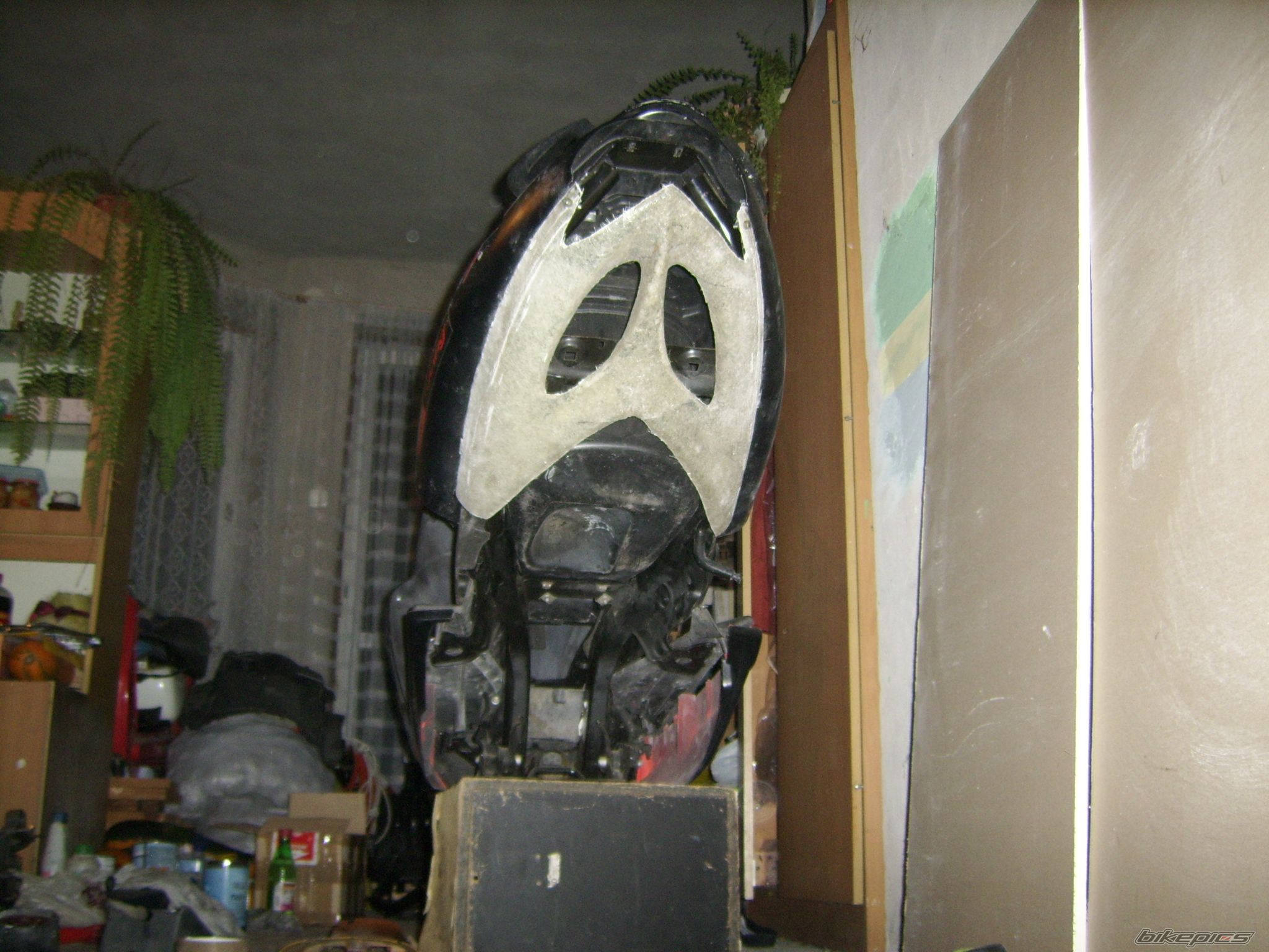 Photo 2307589