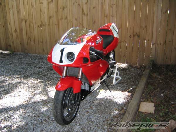 Photo 230761