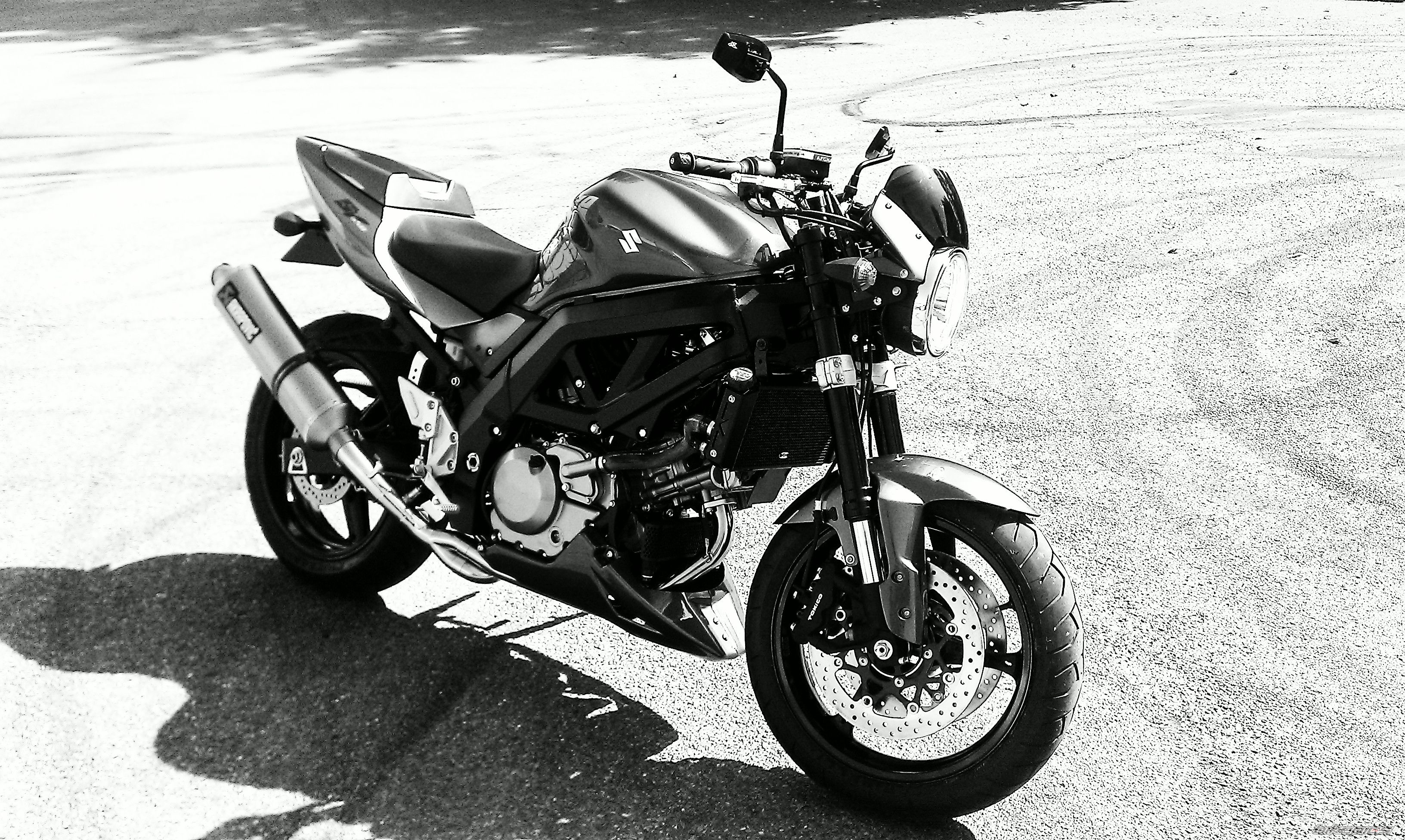 Photo 2307692