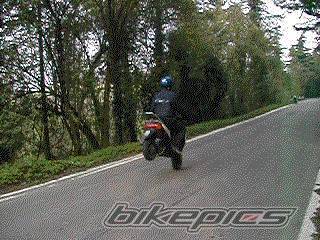 Photo 23077