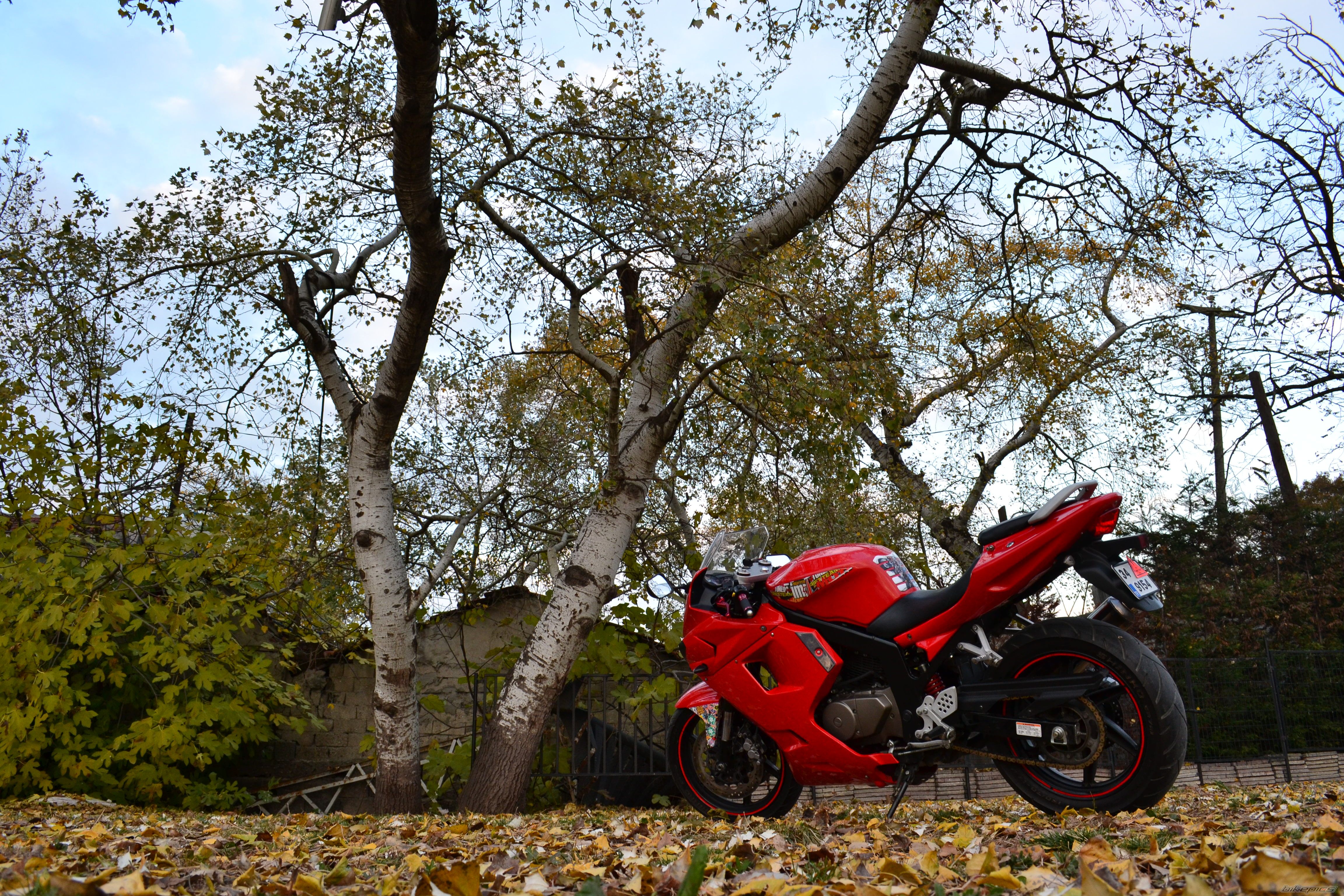 Bike Photo 2307717