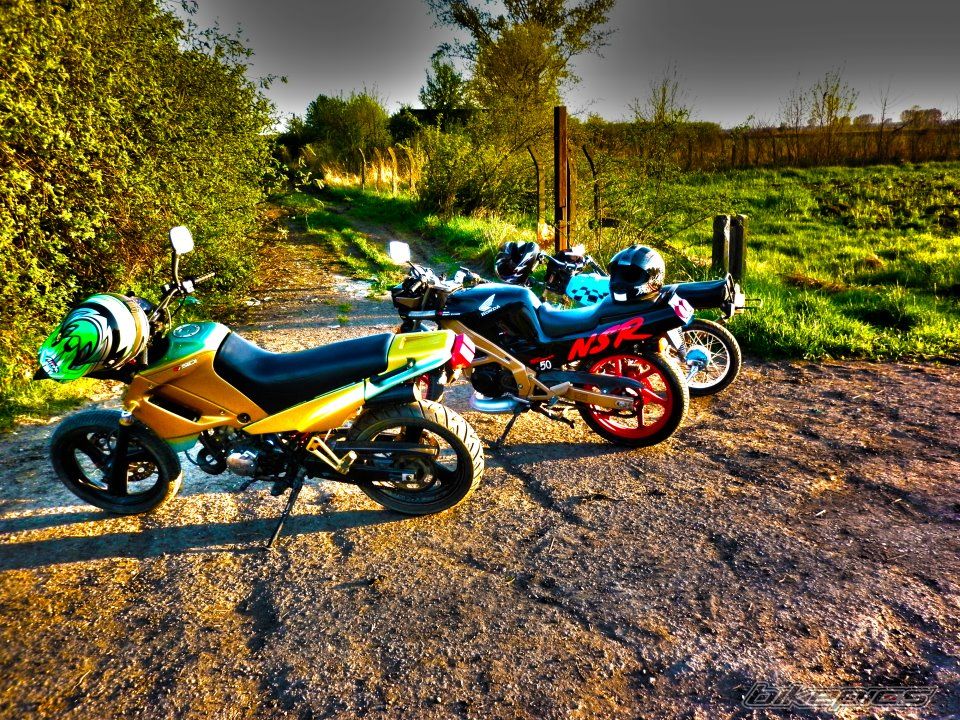Photo 2307730