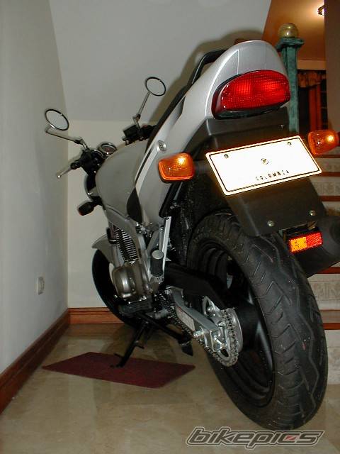 Photo 230785
