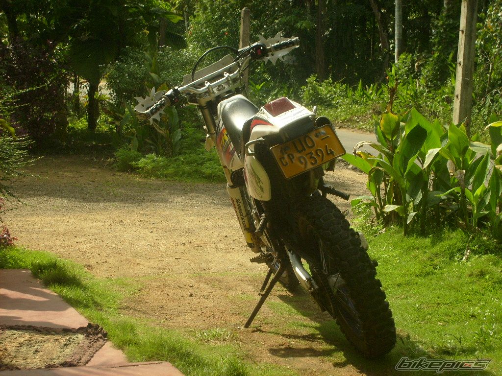 Photo 2307885