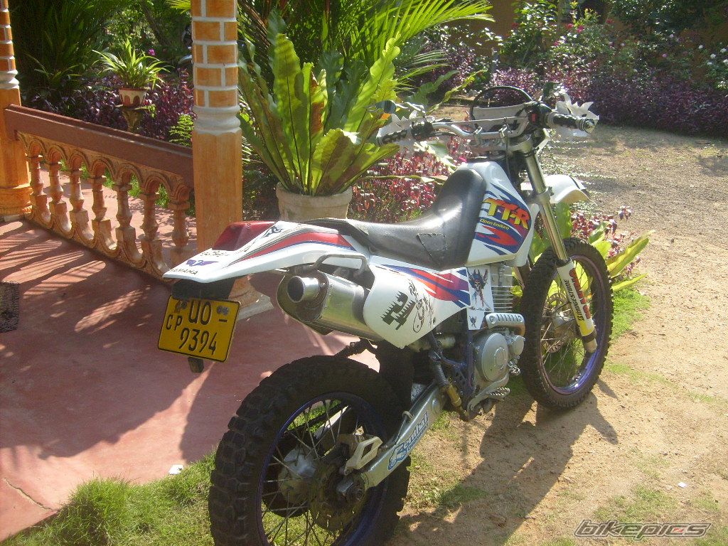 Photo 2307888