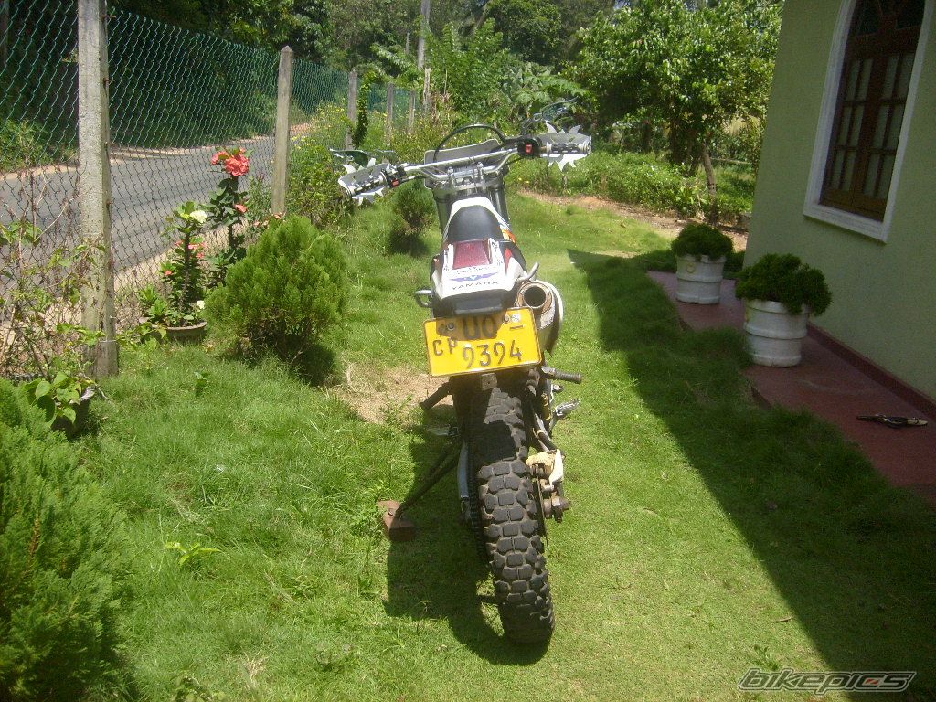 Photo 2307891