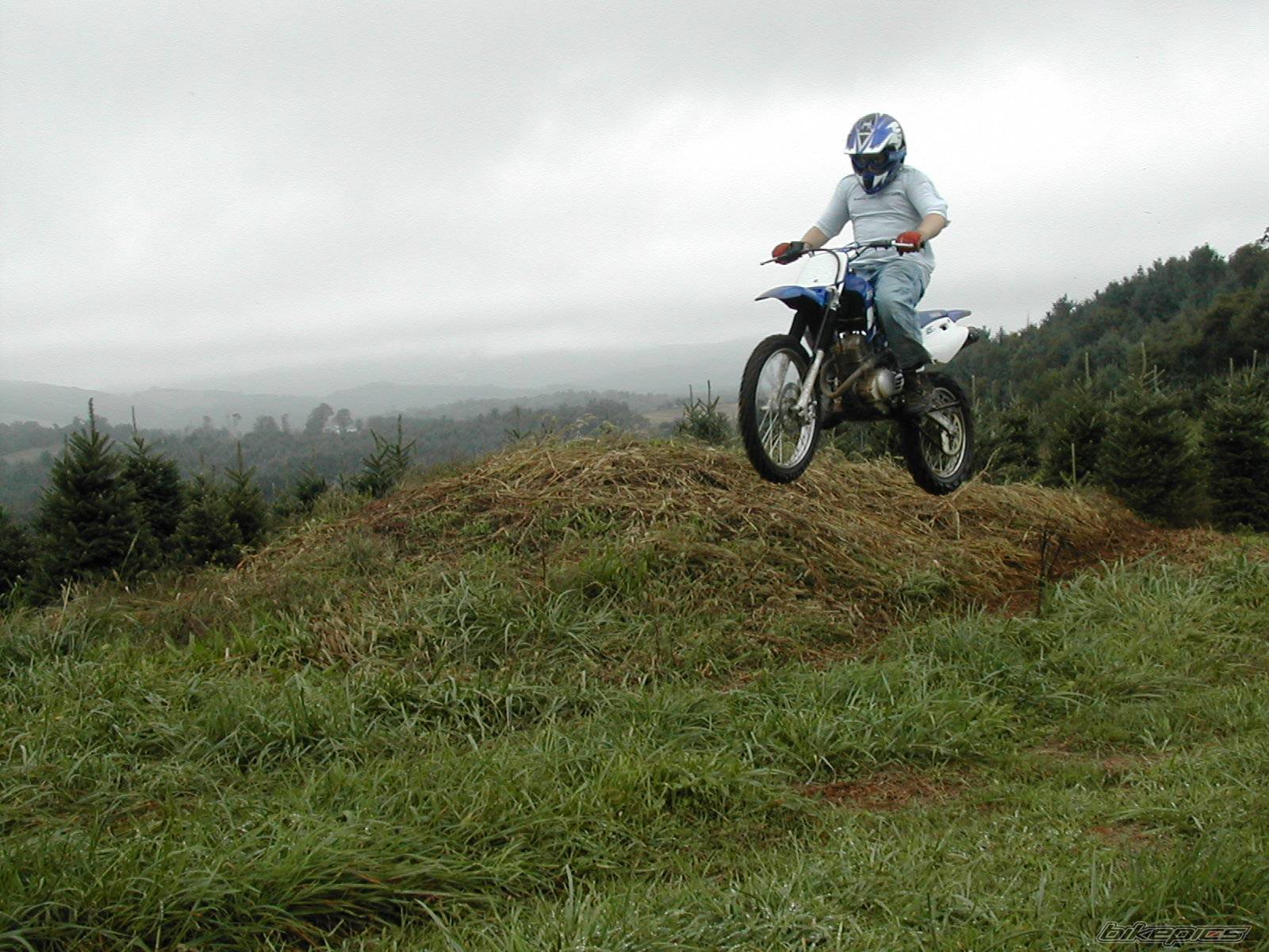 Photo 230793