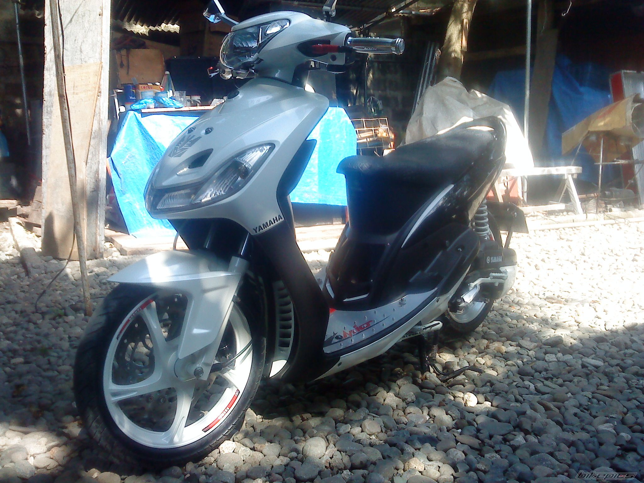 Photo 2308051