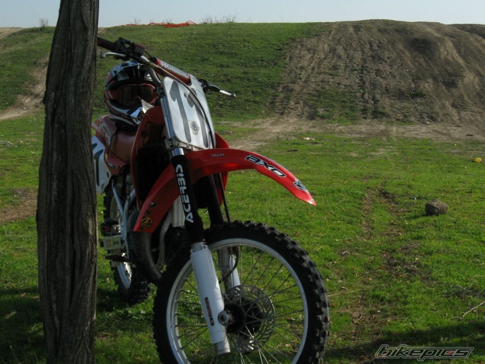 Photo 2308250