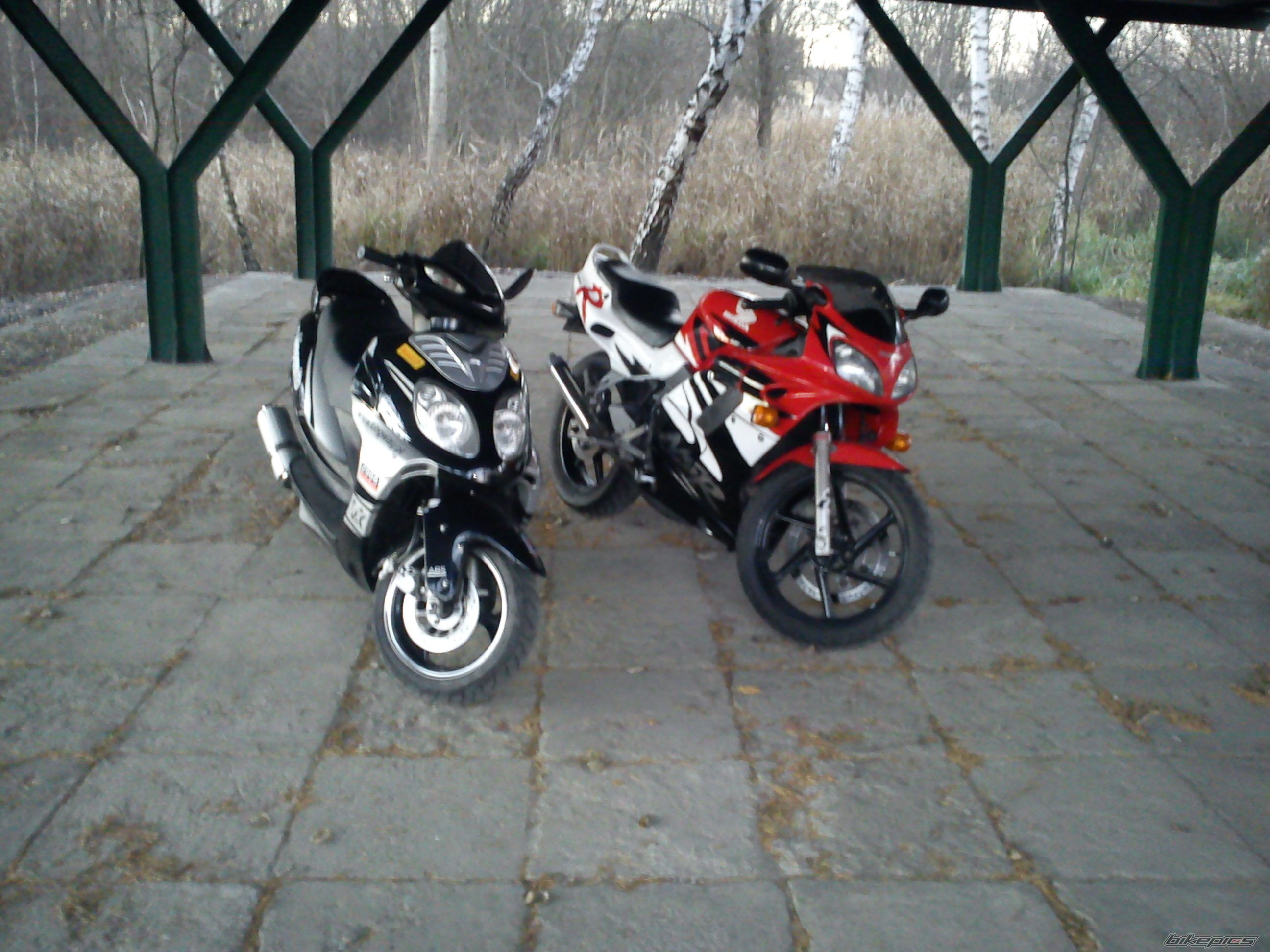 Photo 2308294