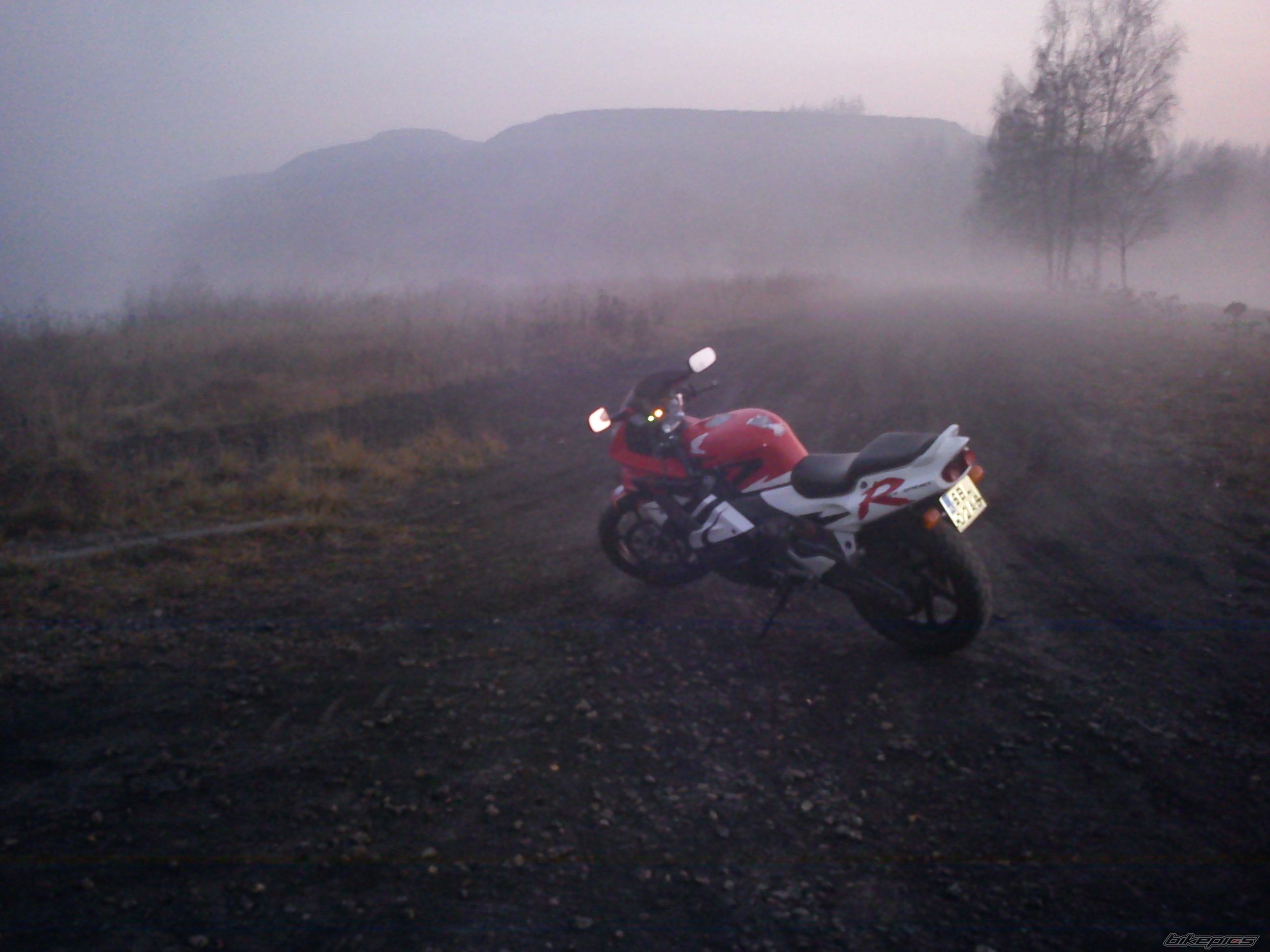 Photo 2308330