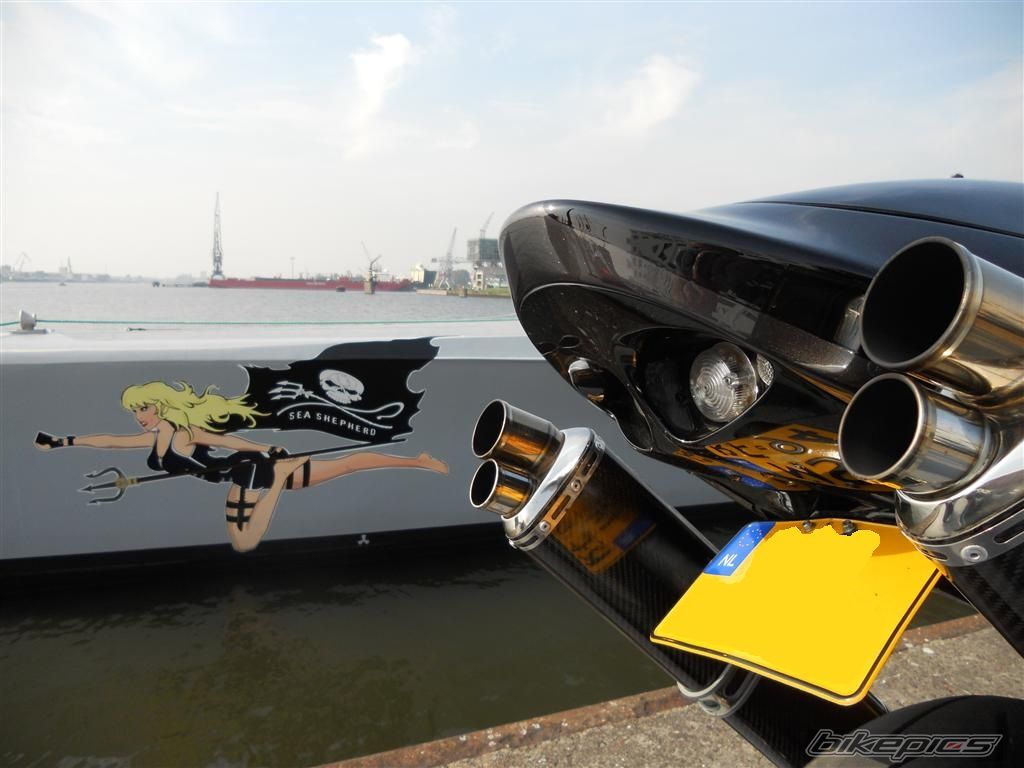 Photo 2308338