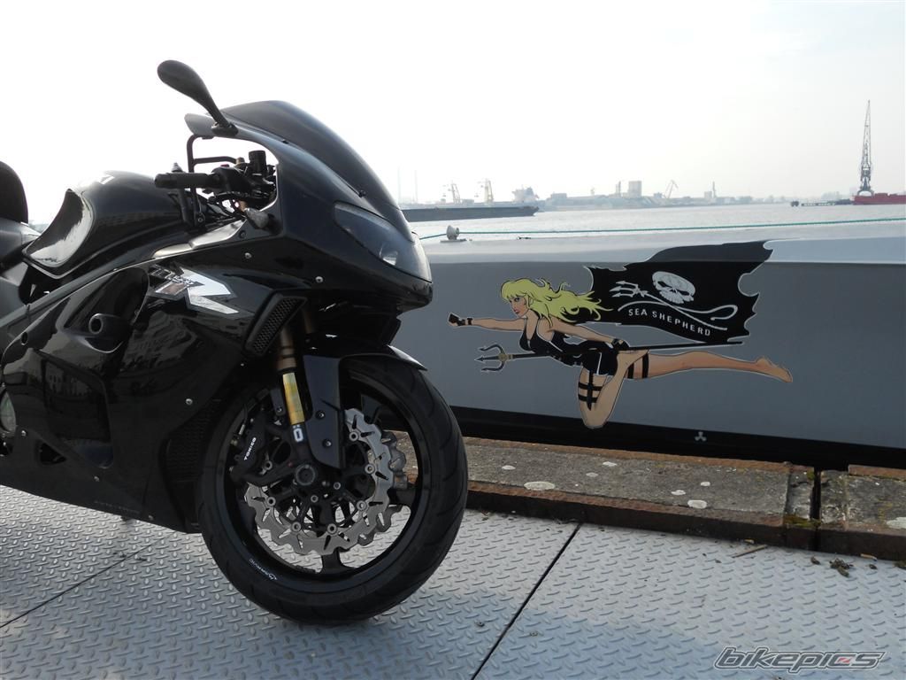 Photo 2308342