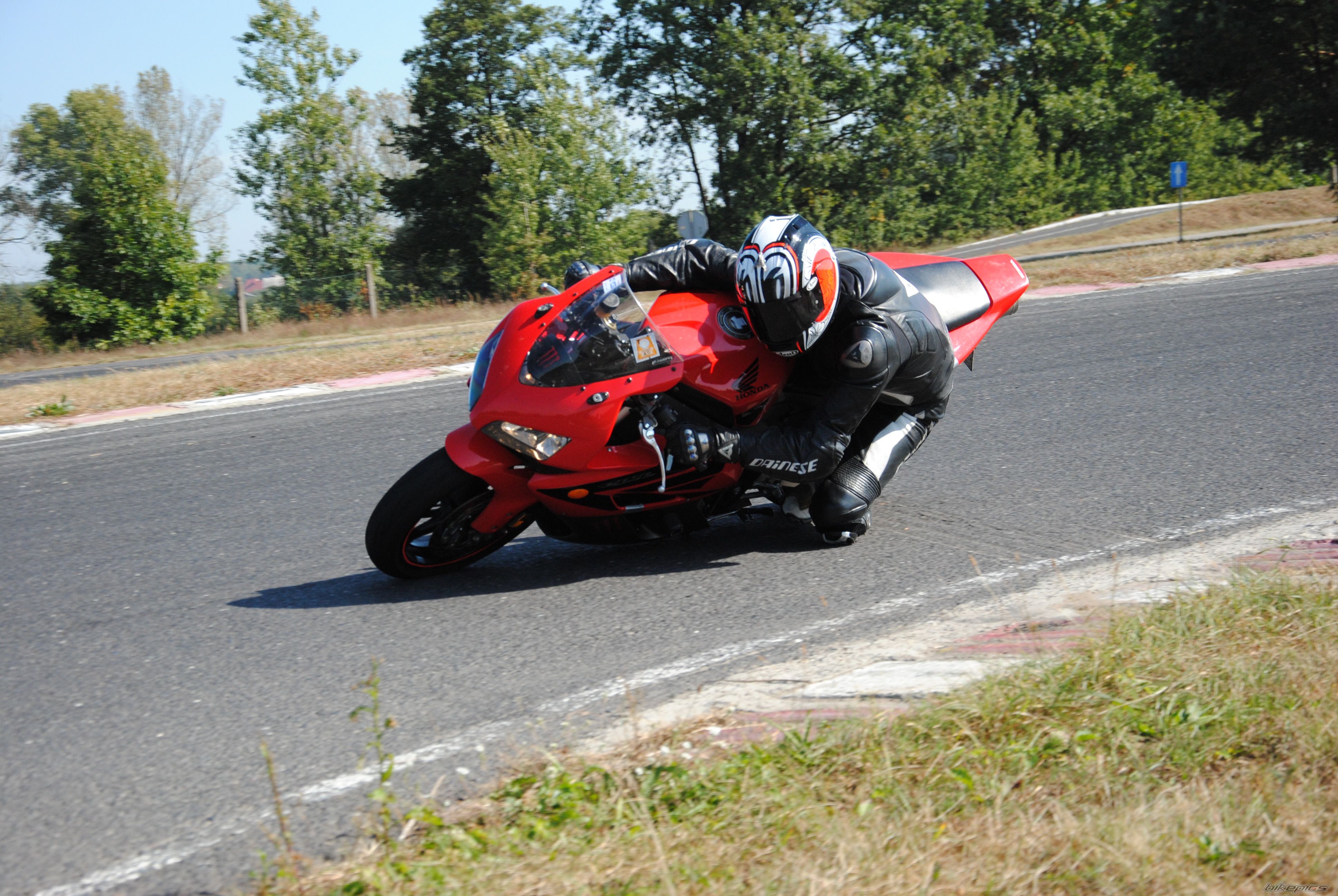 Photo 2308454