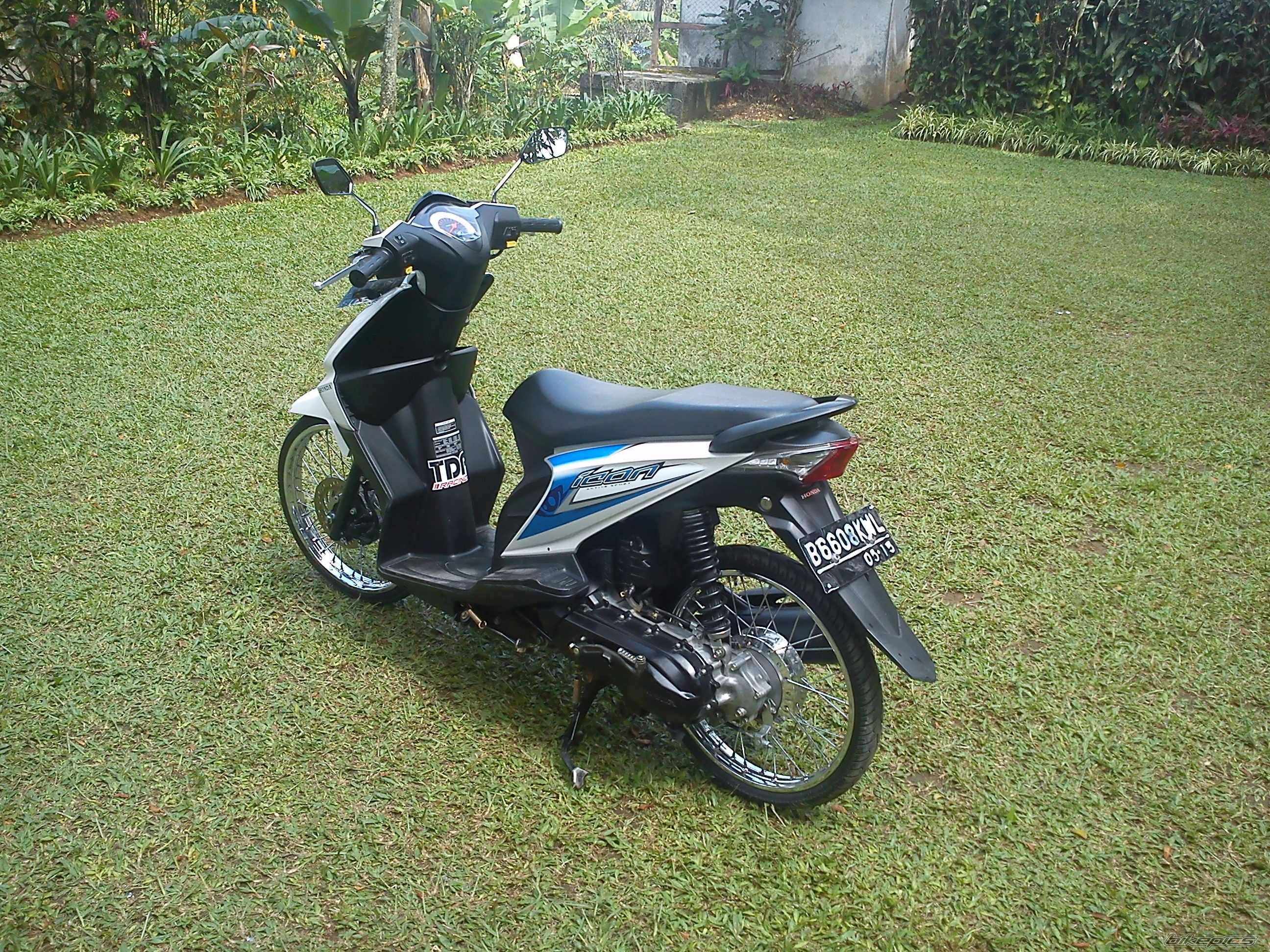 Photo 2308457
