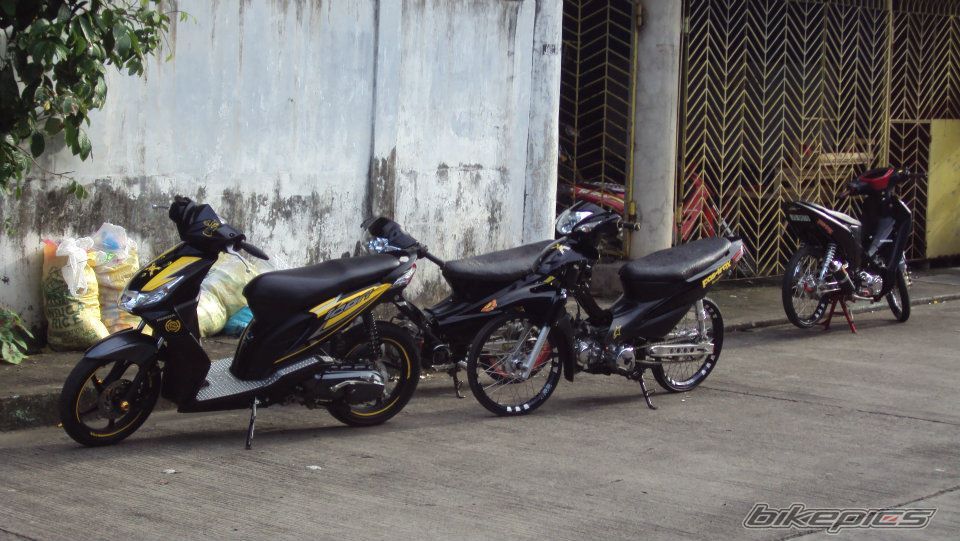 Photo 2308484