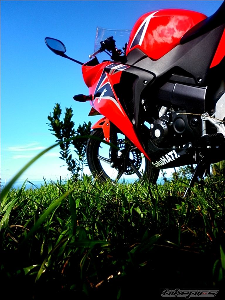 Photo 2308505