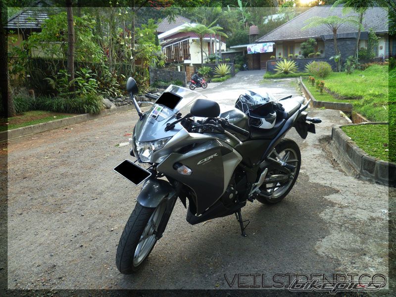 Photo 2308539