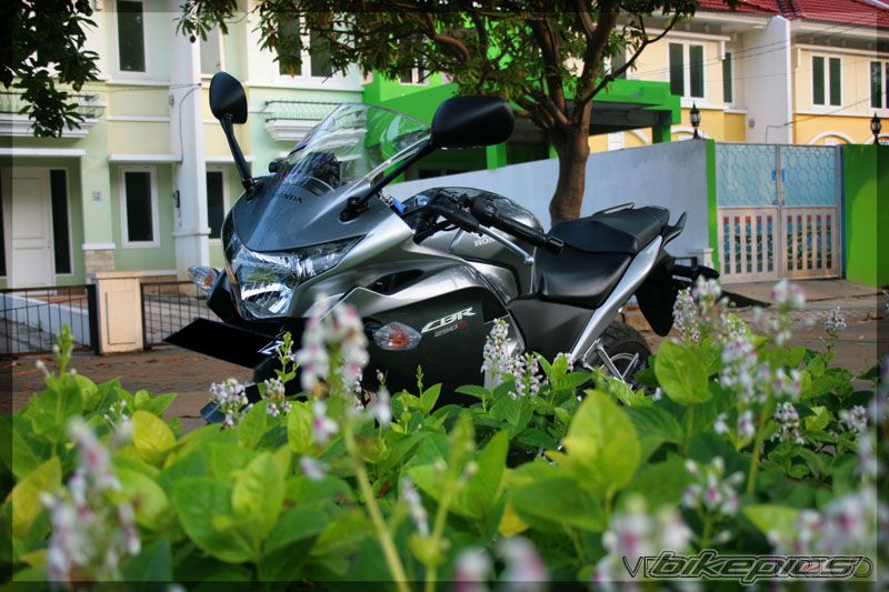 Photo 2308542